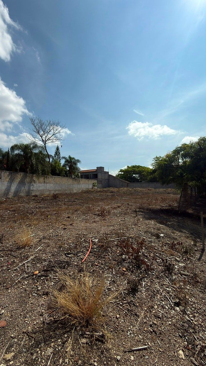 Terreno à Venda em Joyas del Campestre 🗺️, foto 1 de 6