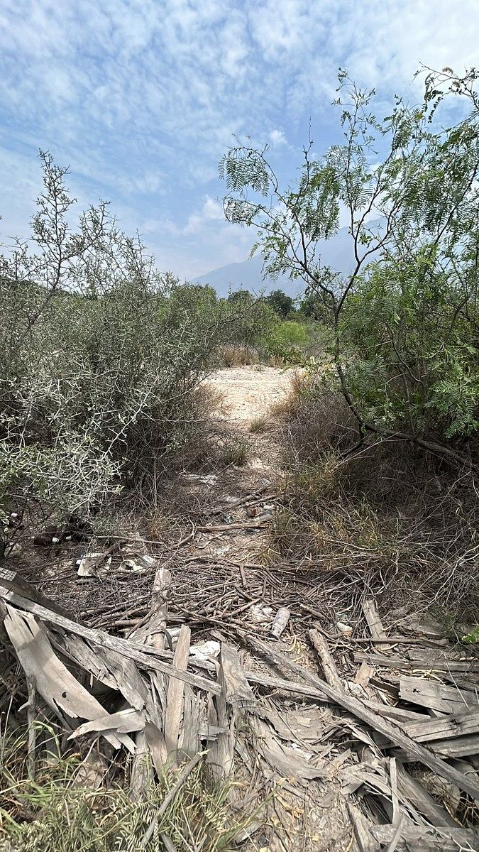 Lote em Centro Villa de Garcia (casco), García, foto 4 de 14