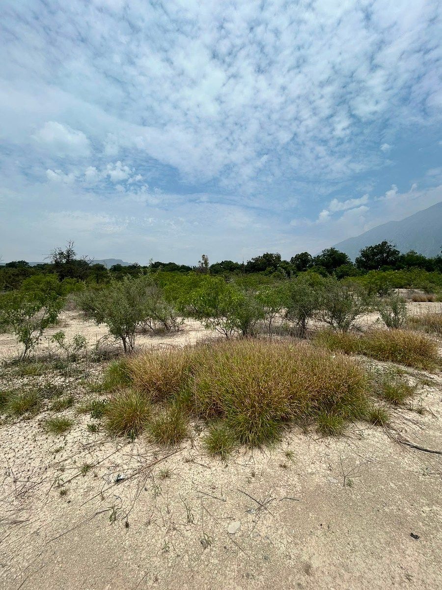 Lote em Centro Villa de Garcia (casco), García, foto 9 de 14