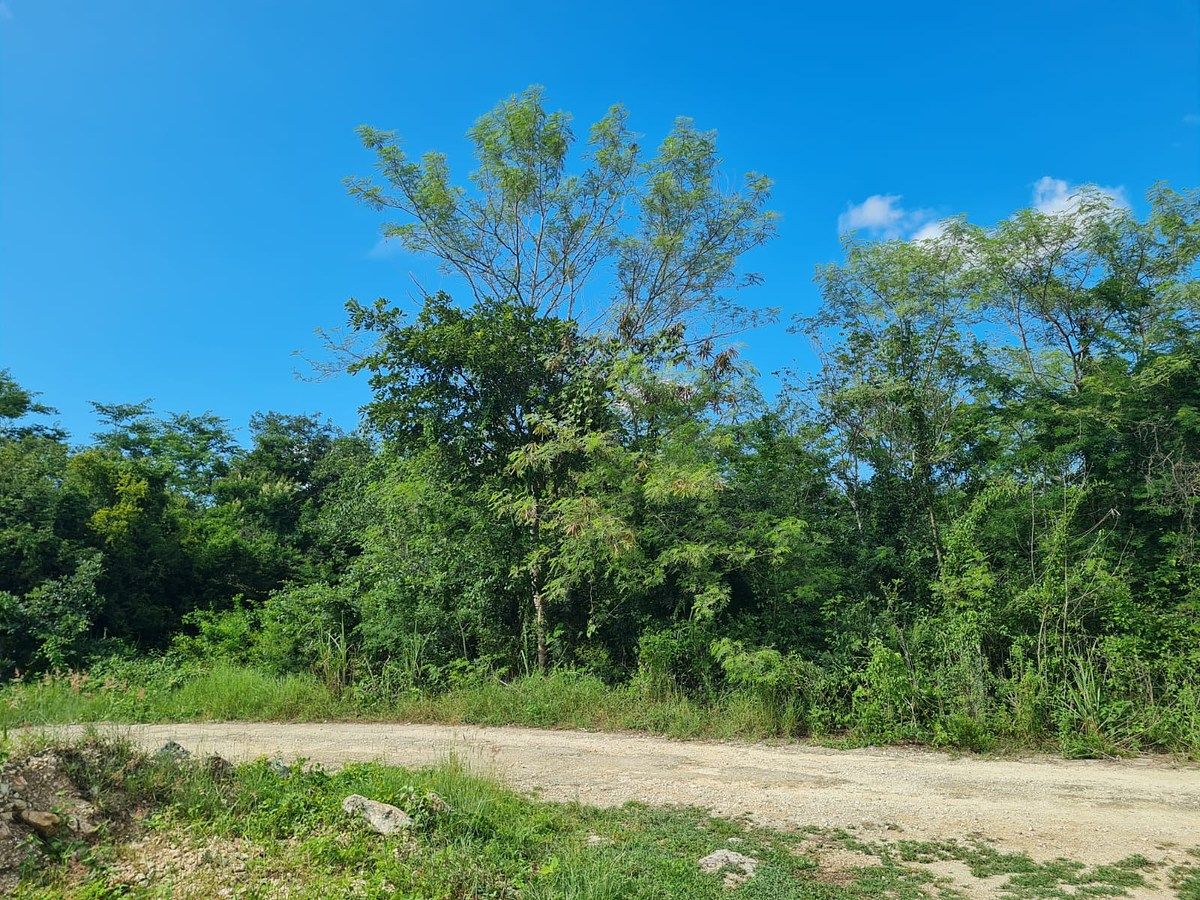 Lote em Mococha, Mocochá, foto 2 de 3