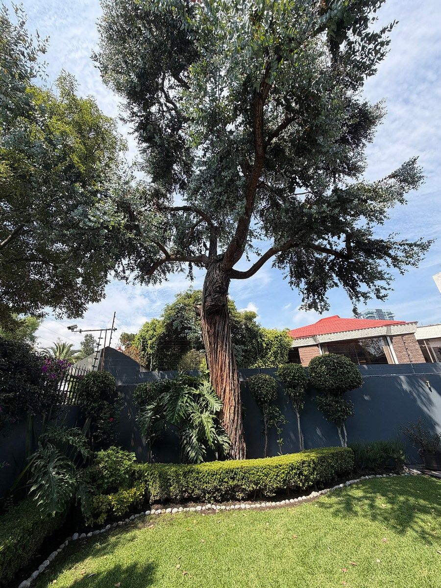 Casa em Bosque de las Lomas, Miguel Hidalgo, foto 8 de 17