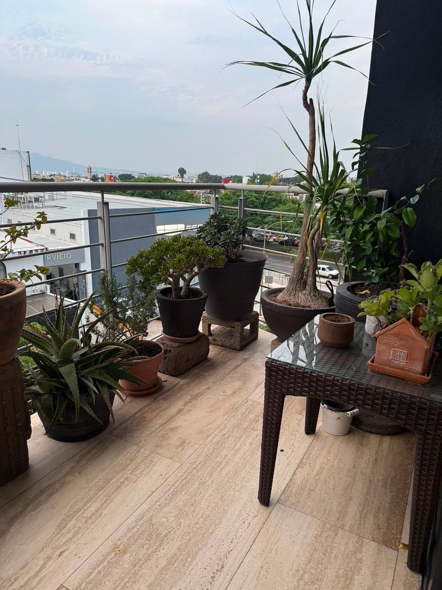 Apartment in Country Club, Guadalajara, photo 19 of 26