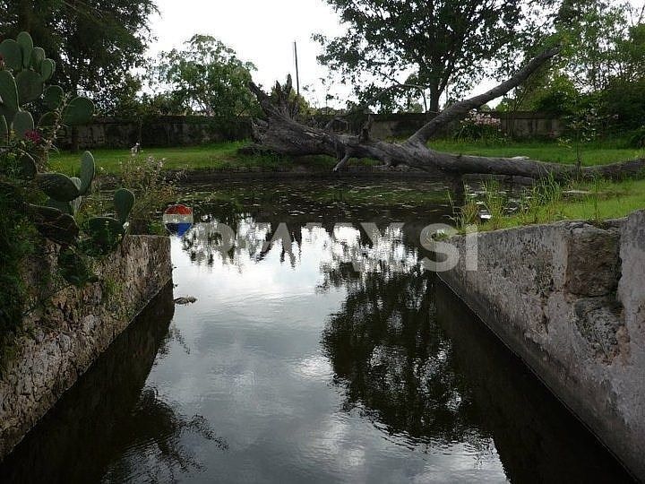 VENTA RANCHO POLOTITLAN EDO DE MEX, foto 1 de 32