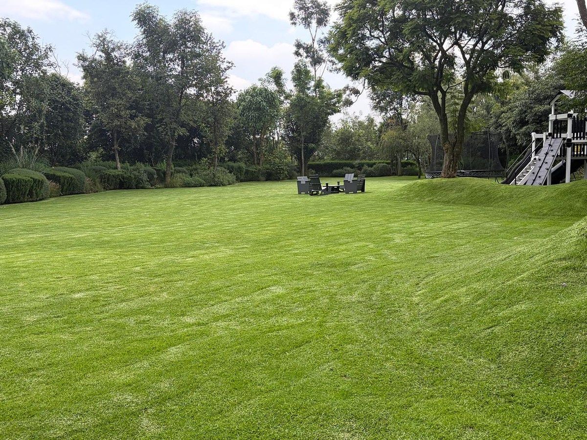 Departamento en Lomas Altas, Miguel Hidalgo, foto 6 de 16
