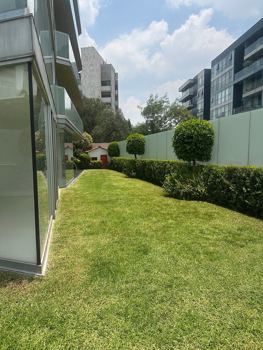 Apartment in Lomas de Chapultepec I Sección, Miguel Hidalgo, photo 6 of 26