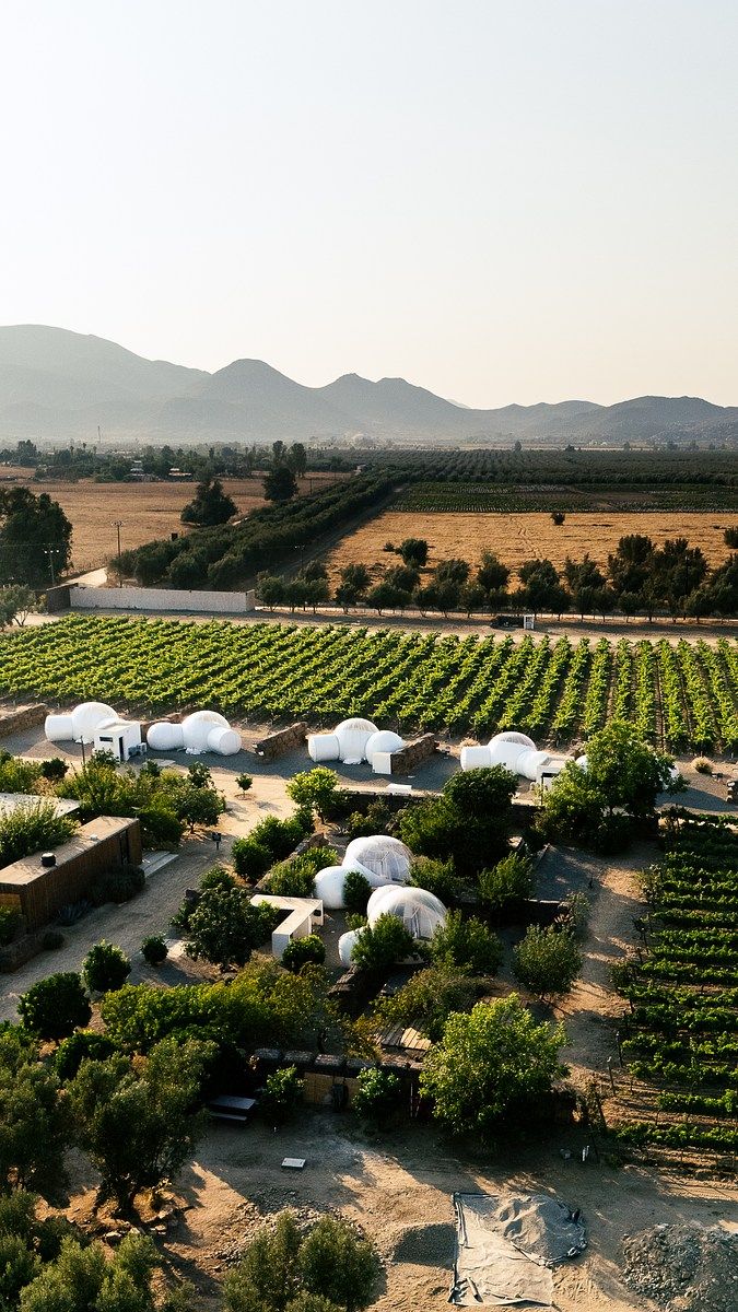 Lot in Valle de Guadalupe, Ensenada, photo 9 of 14
