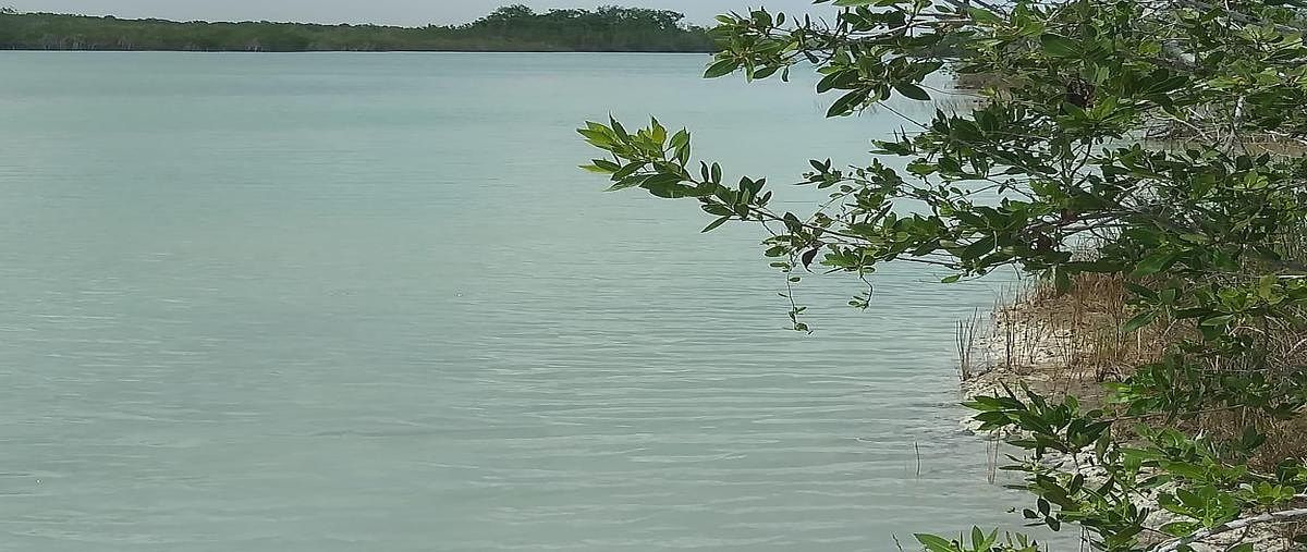 Propiedad en Laguna guerrero, foto 1 de 3