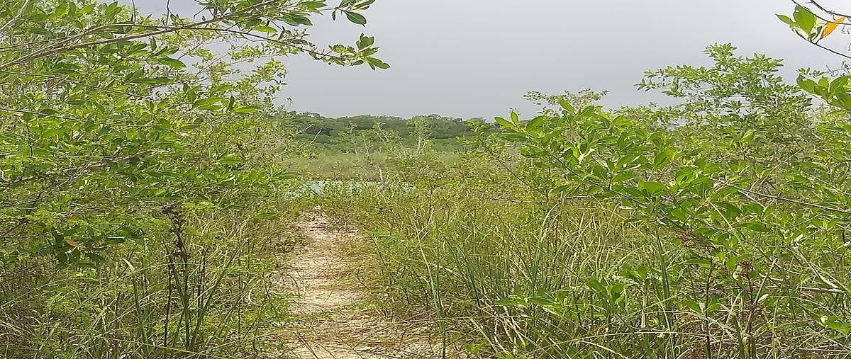 Terreno en Sian Kaan, Chetumal, foto 3 de 3