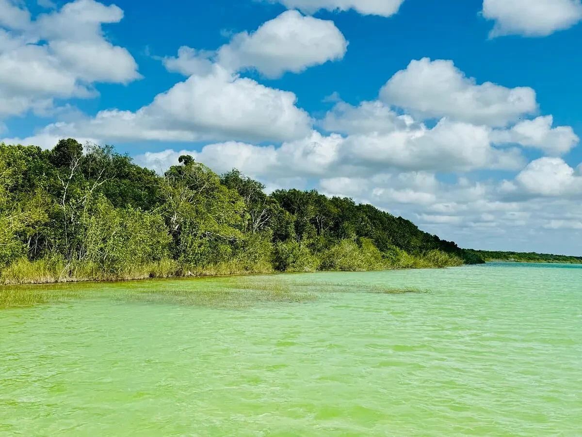 Lagoon land in Guerrero with 50 linear meters of lagoon, photo 1 of 3