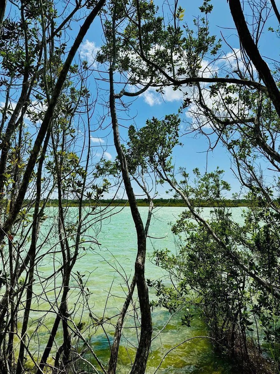 Lot in Chetumal Centro, Chetumal, photo 2 of 3