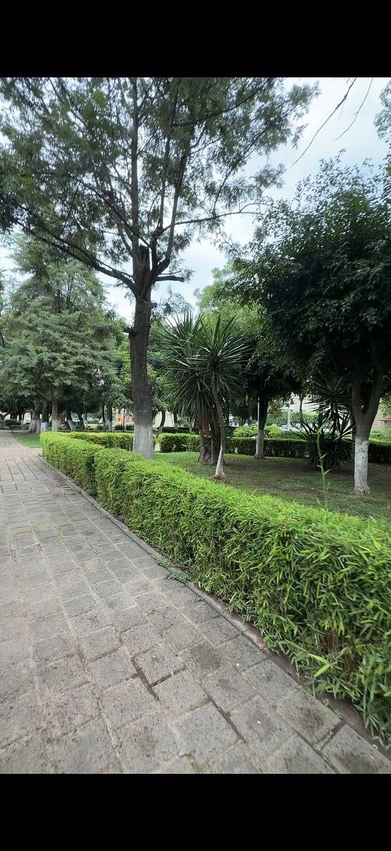 Apartment in Villas de San Javier, Zapopan, photo 11 of 11