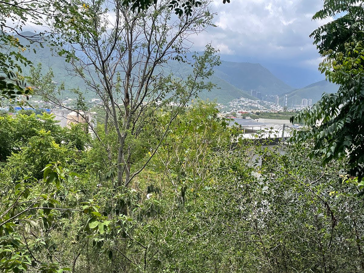 Terreno en Country la Silla Sector 1, Guadalupe, foto 6 de 7