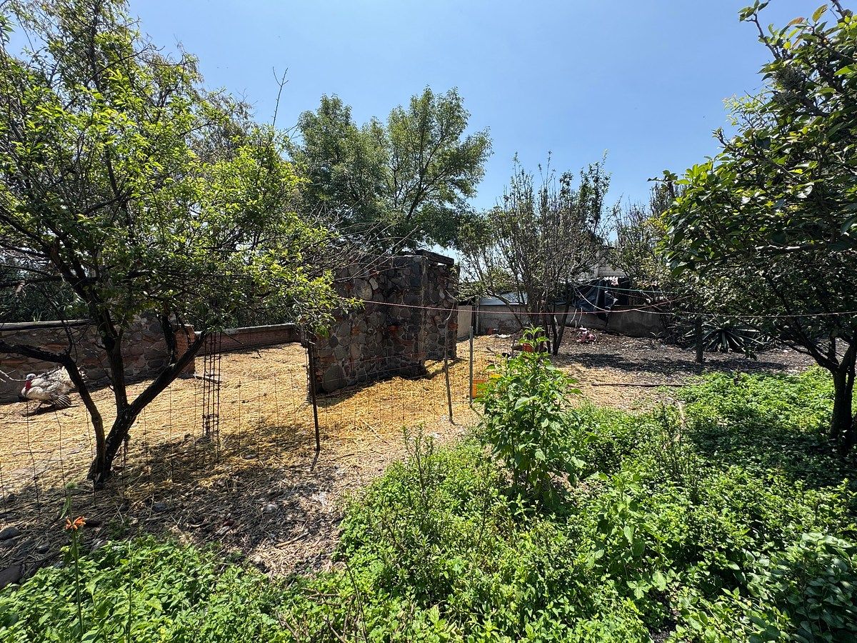 Lot in La Cruz y Carrizal, Villa del Carbón, photo 3 of 8