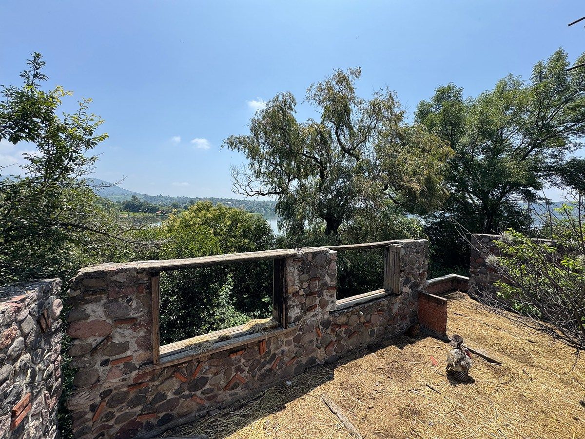 Lot in La Cruz y Carrizal, Villa del Carbón, photo 4 of 8
