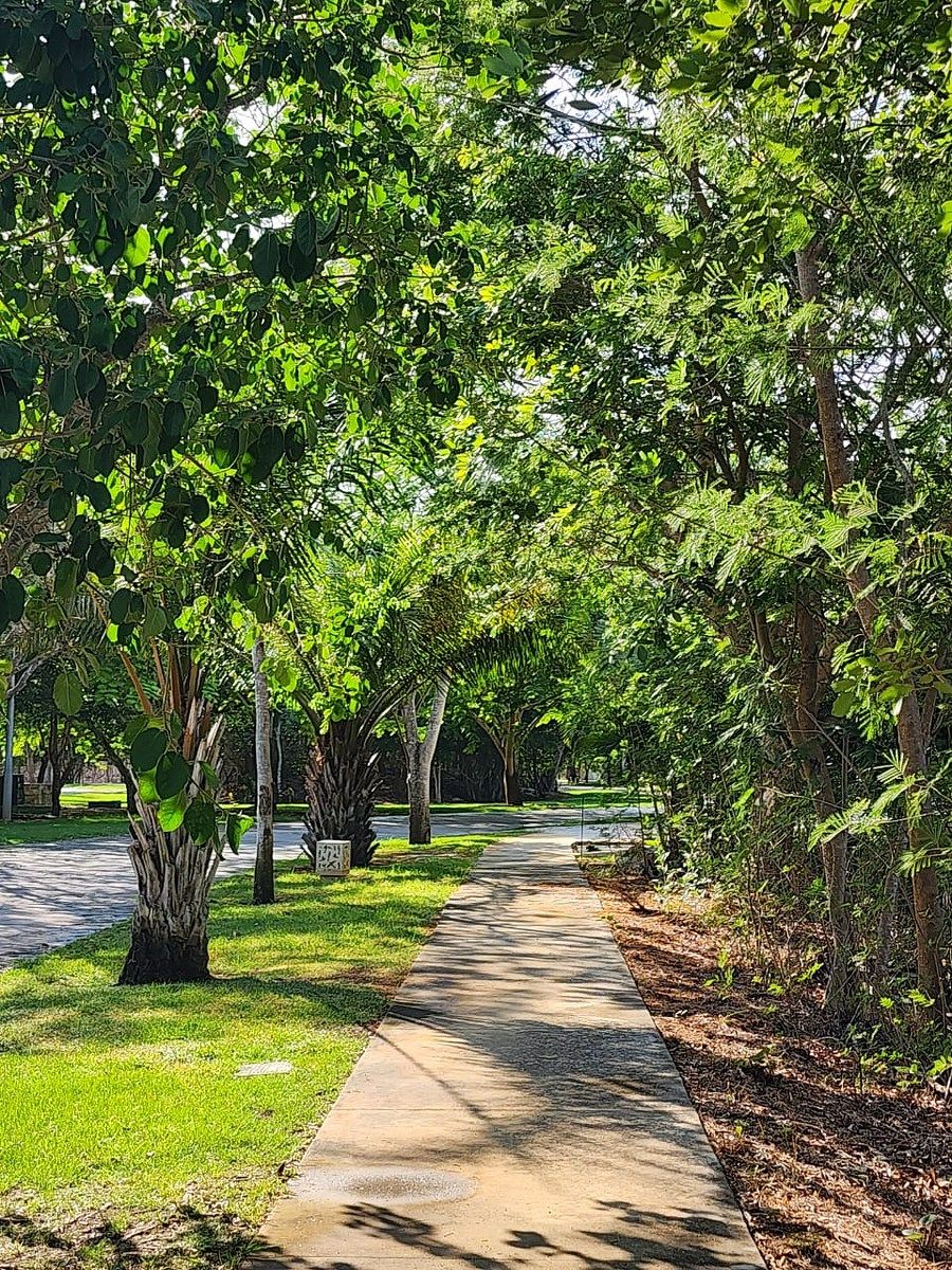 Terreno en Yucatán Country Club, Mérida, foto 3 de 5