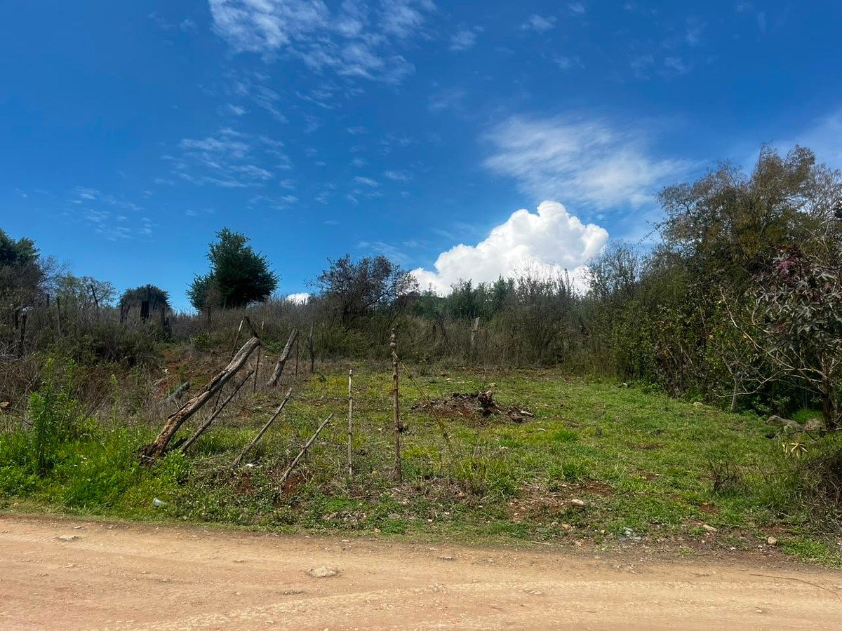 LOMA ALTA, foto 1 de 6