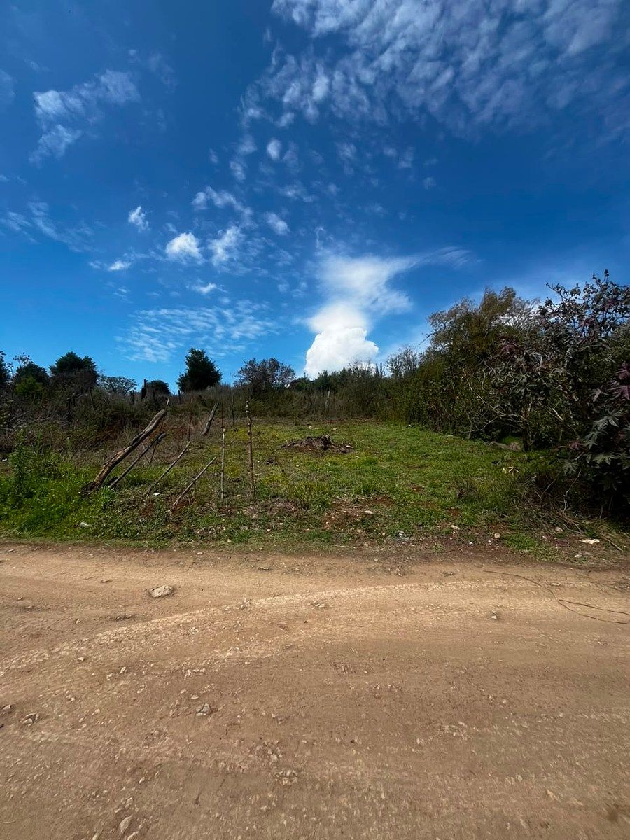 Terreno en Tapalpa, Tapalpa, foto 6 de 6