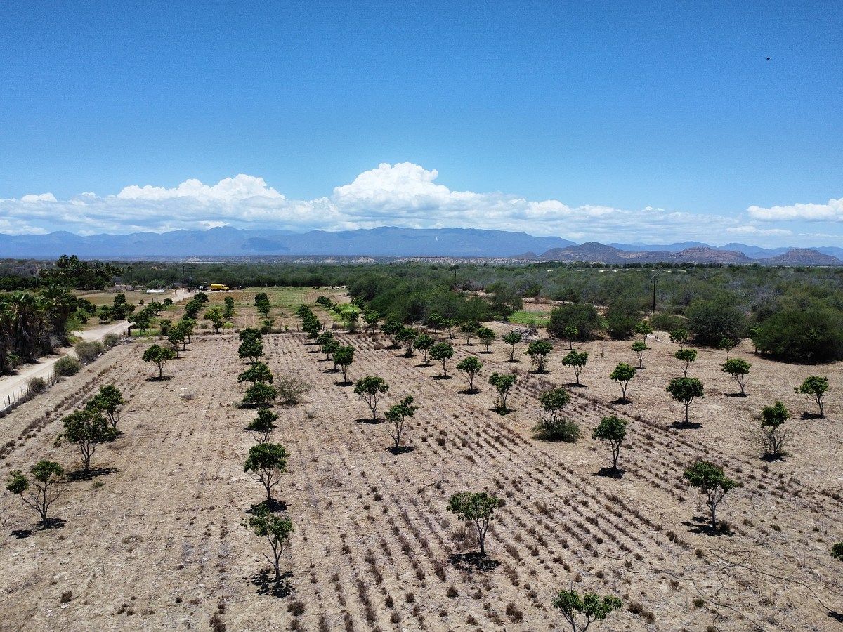 Terreno | Huertos de La Ribera, foto 1 de 13