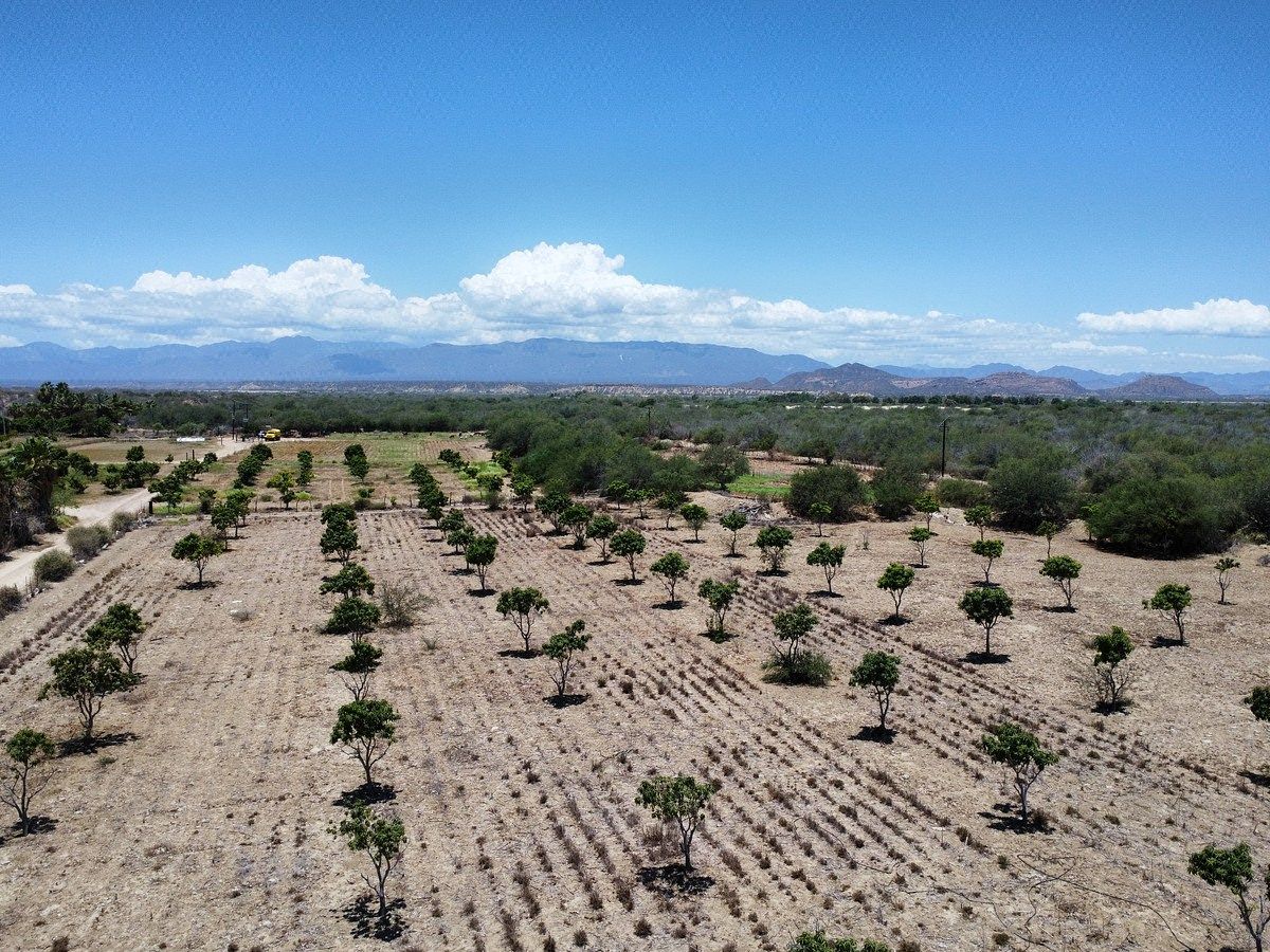 Terreno en La Rivera, Los Cabos, foto 2 de 13