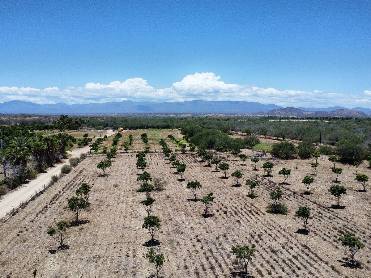 Terreno en La Rivera, Los Cabos, foto 3 de 13