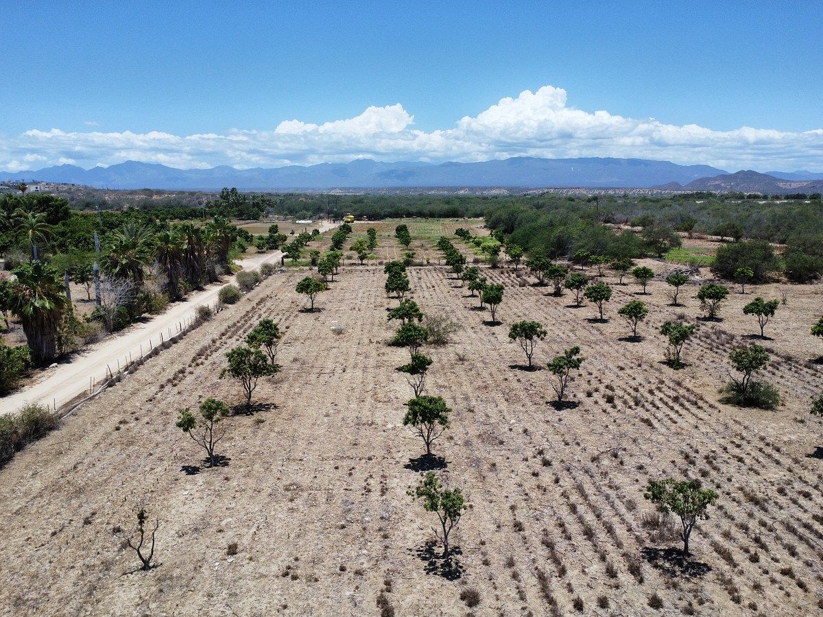 Terreno en La Rivera, Los Cabos, foto 4 de 13