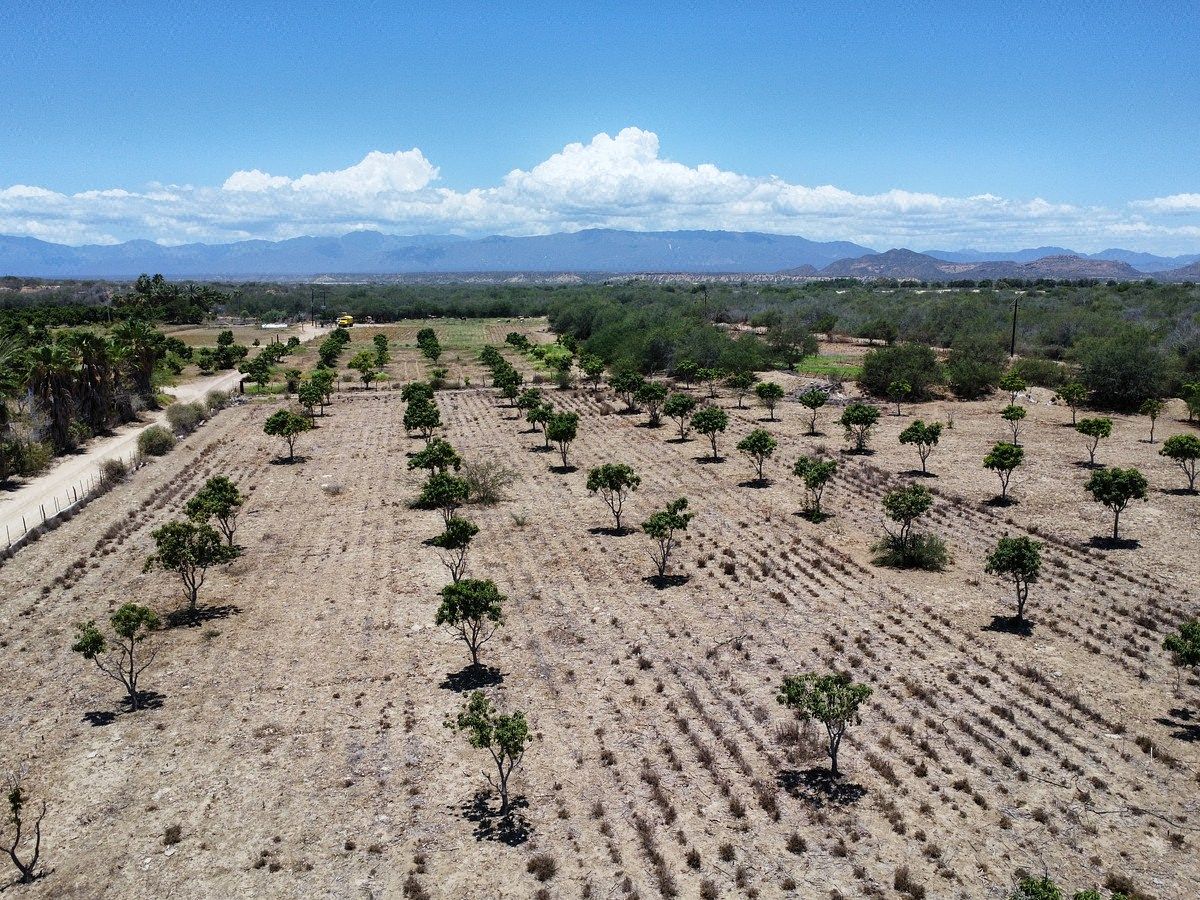 Terreno en La Rivera, Los Cabos, foto 5 de 13