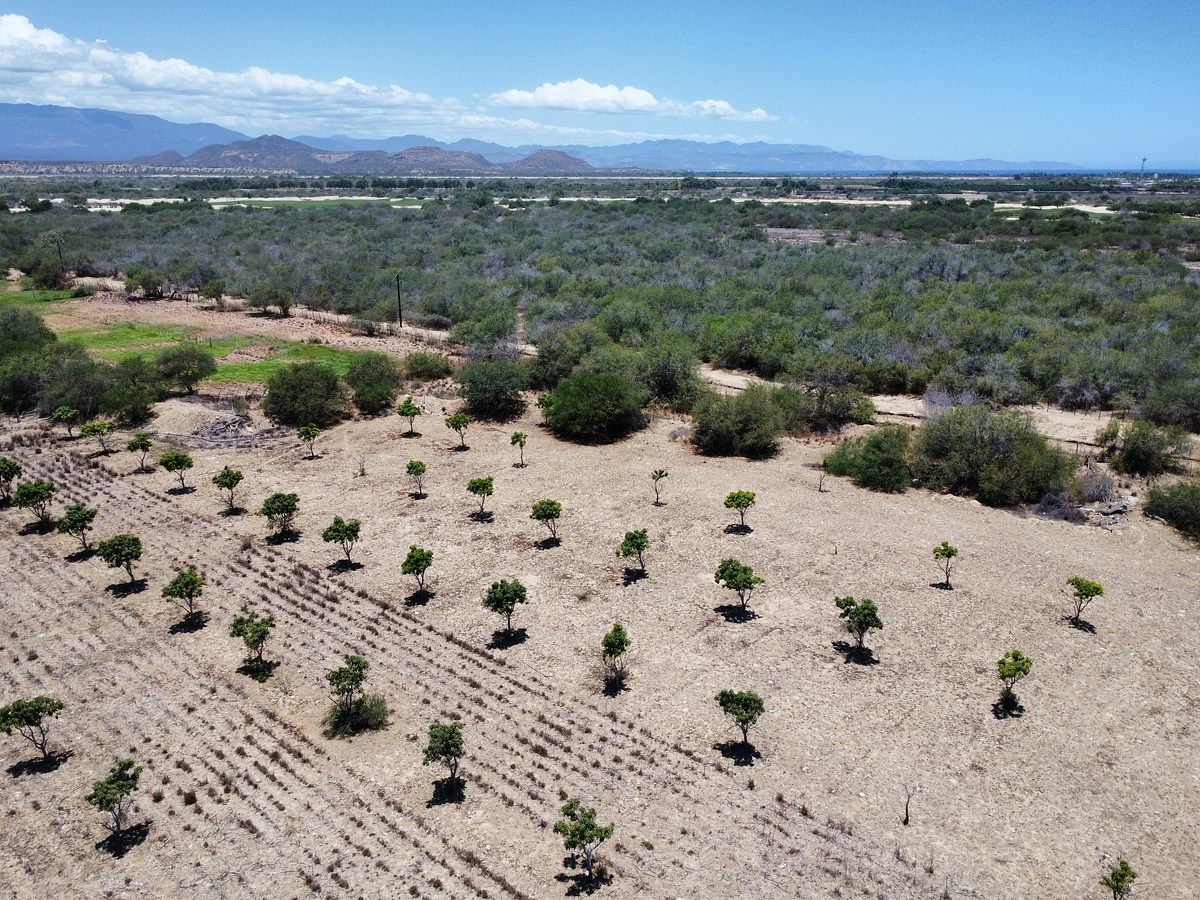 Terreno en La Rivera, Los Cabos, foto 7 de 13