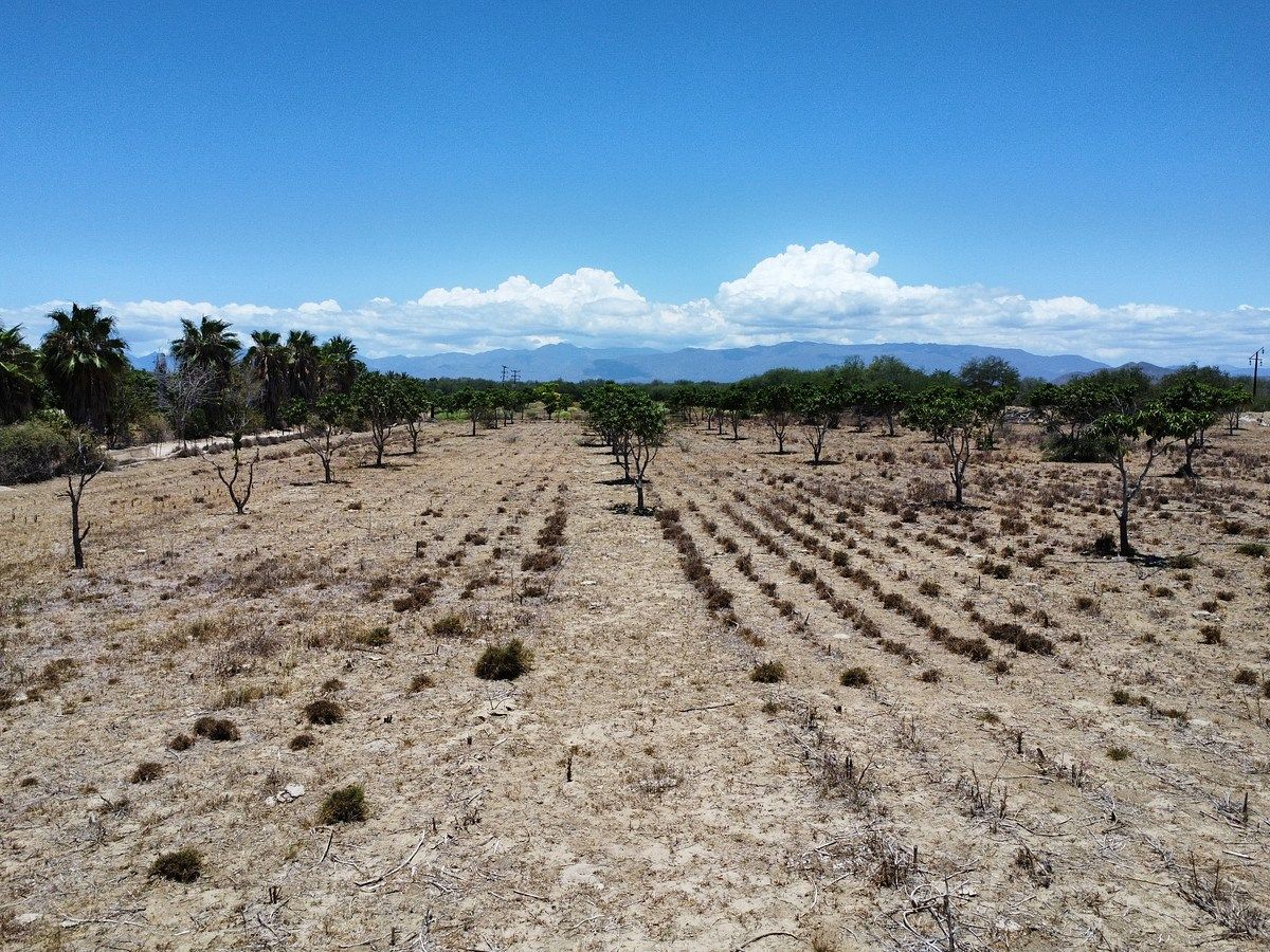 Terreno en La Rivera, Los Cabos, foto 10 de 13