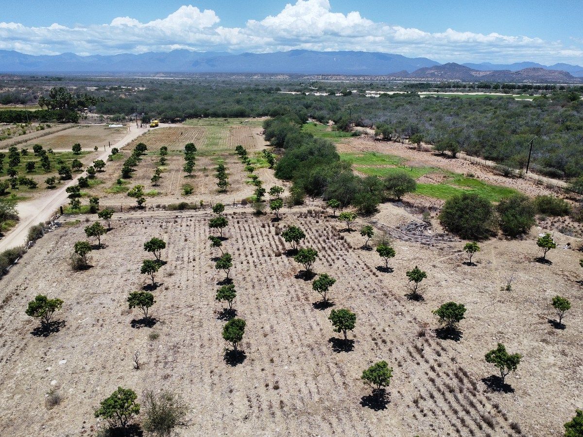 Terreno en La Rivera, Los Cabos, foto 11 de 13