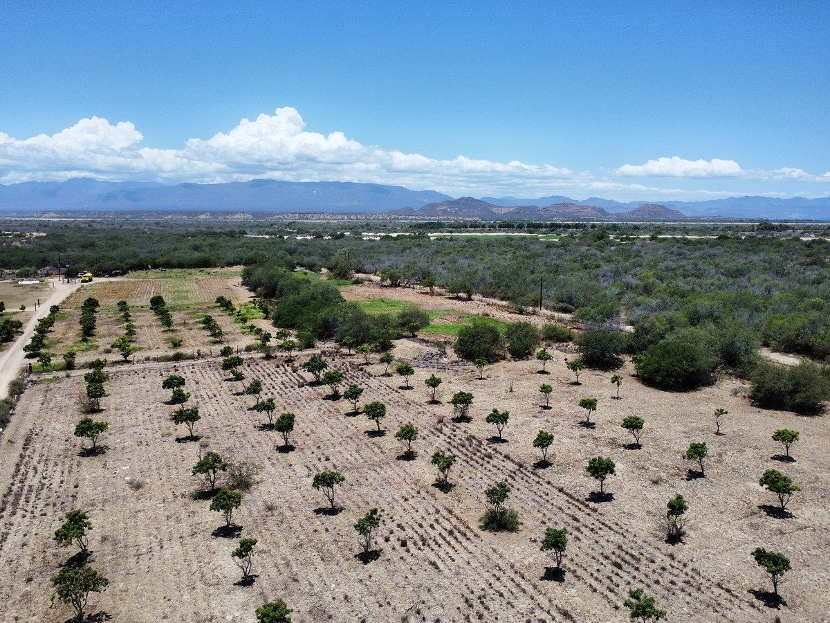 Terreno en La Rivera, Los Cabos, foto 12 de 13