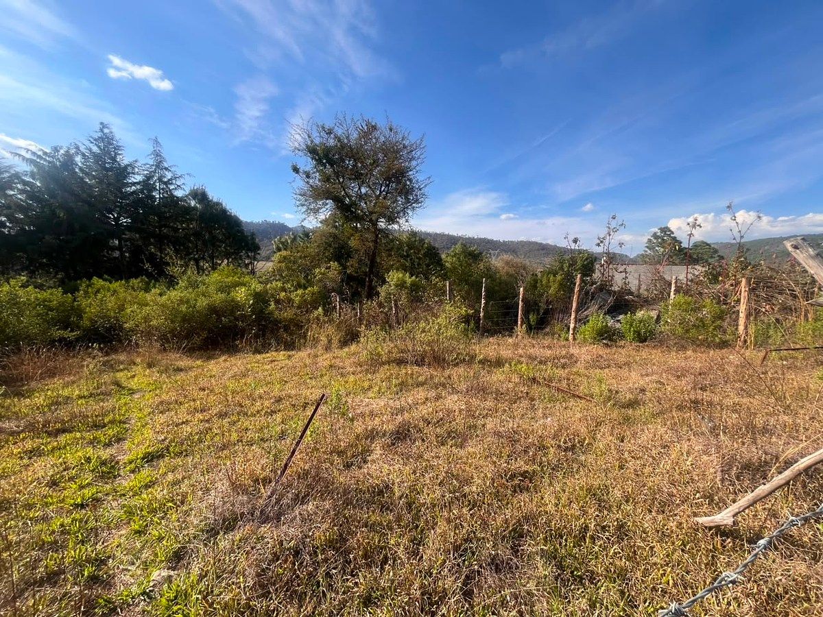 Terreno en Tapalpa, Tapalpa, foto 2 de 6