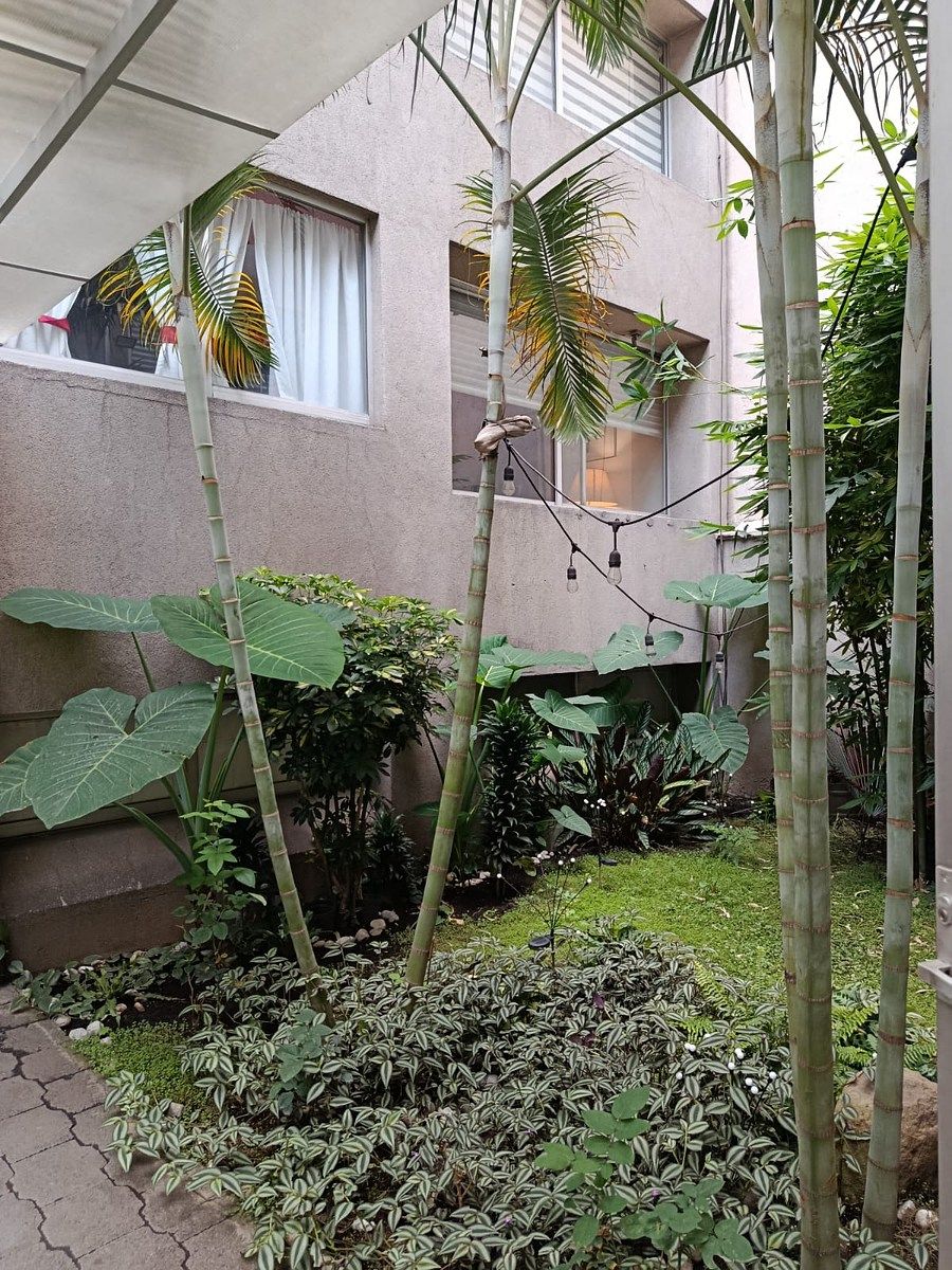 Apartamento em Del Valle Sur, Benito Juárez, foto 21 de 24