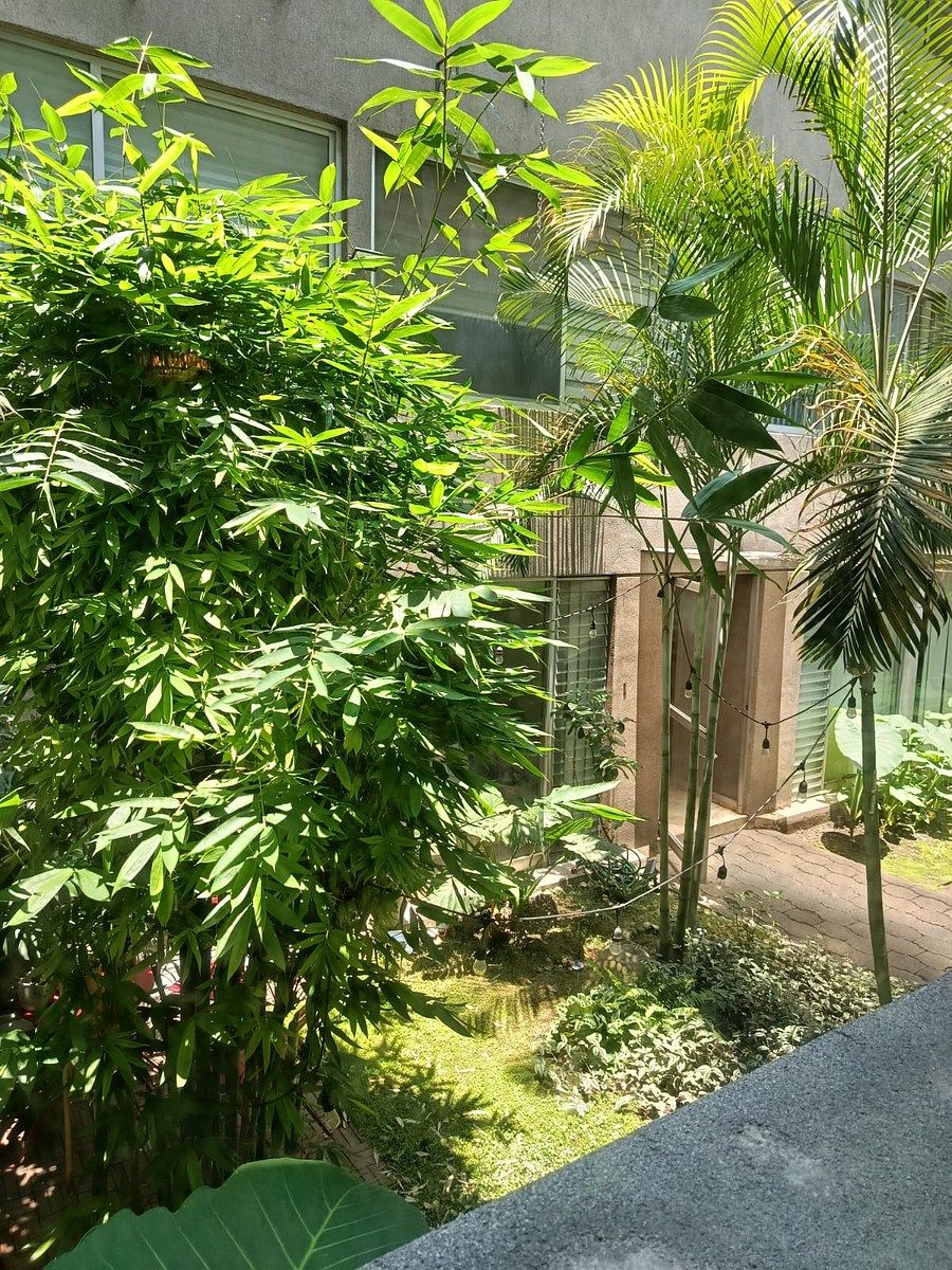 Apartamento em Del Valle Sur, Benito Juárez, foto 7 de 24