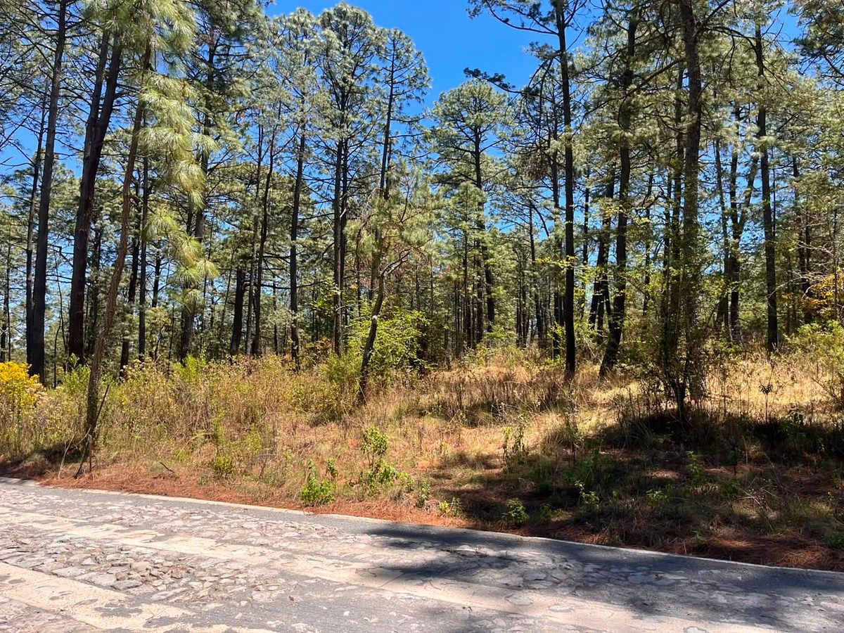 Terreno en Tapalpa, Tapalpa, foto 5 de 10