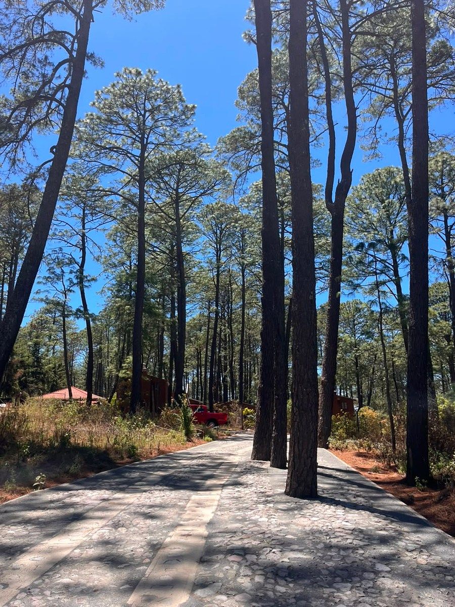 Terreno en Tapalpa, Tapalpa, foto 10 de 10