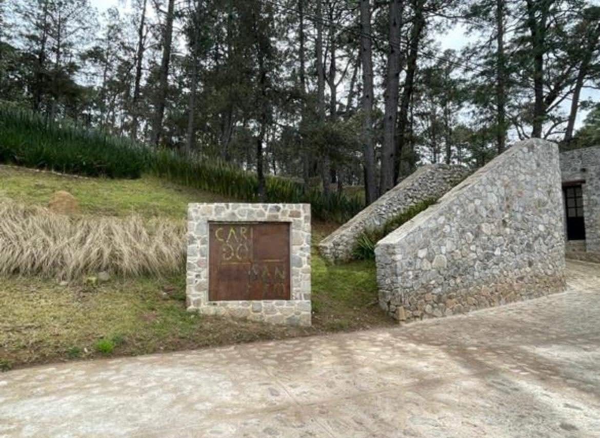 Cardo Santo, foto 1 de 10