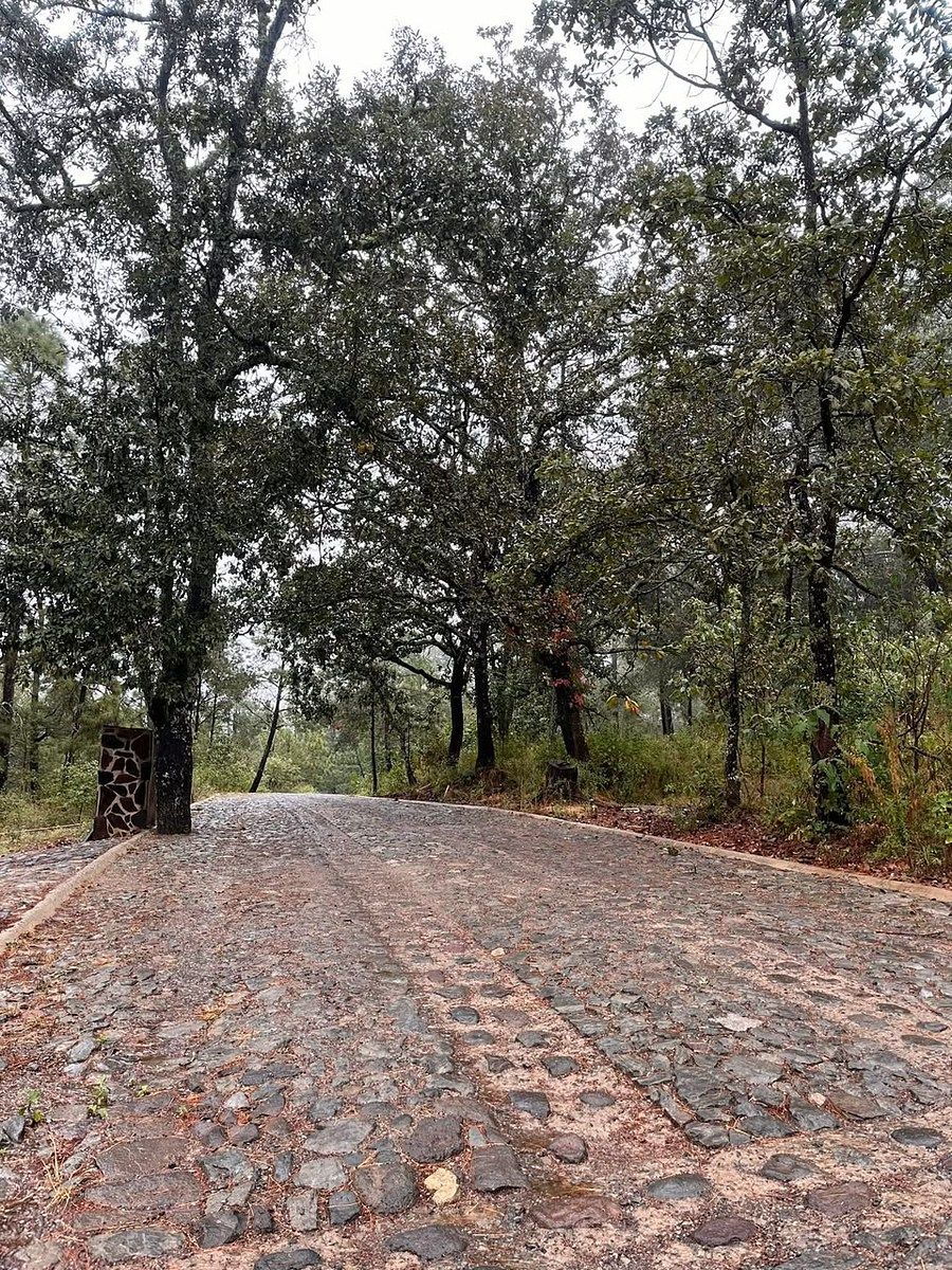Terreno en Tapalpa, Tapalpa, foto 6 de 10