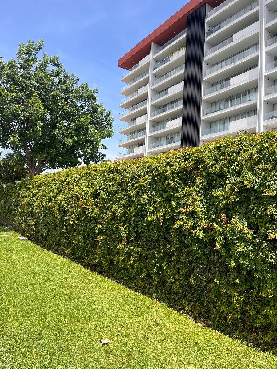 Apartamento em Francisco de Montejo, Mérida, foto 11 de 28