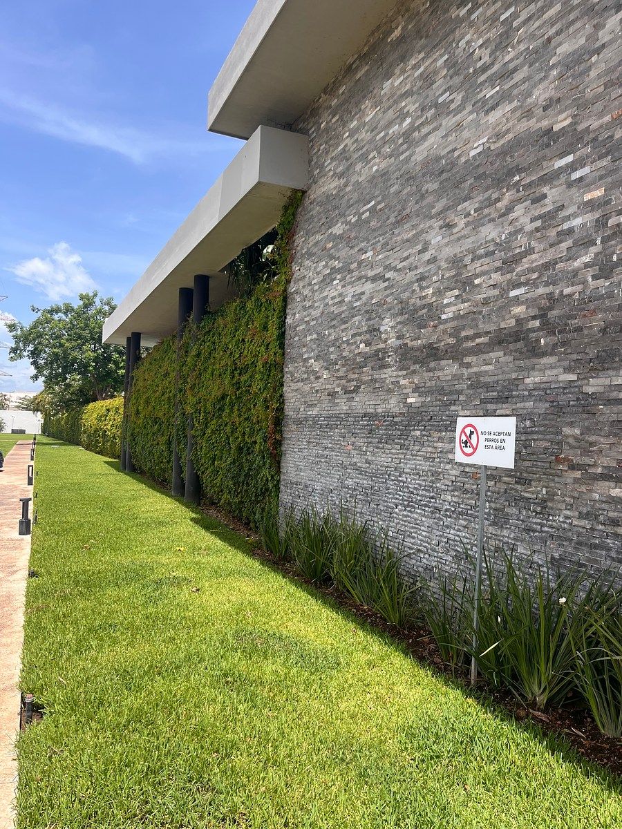 Apartamento em Francisco de Montejo, Mérida, foto 10 de 28