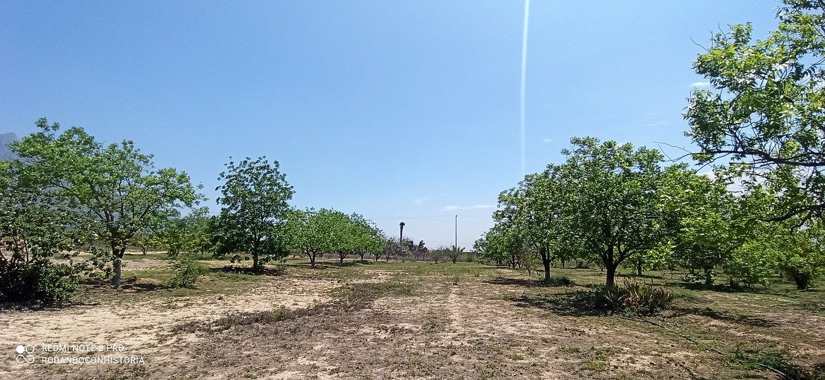 Lote em Icamole, García, foto 3 de 12
