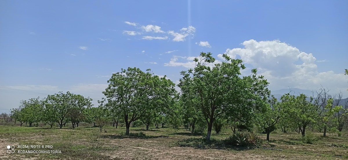 Lote em Icamole, García, foto 6 de 12