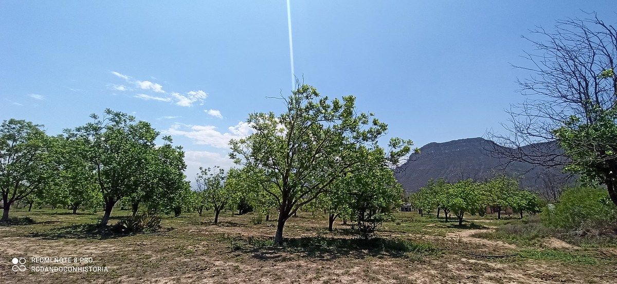 Lote em Icamole, García, foto 7 de 12