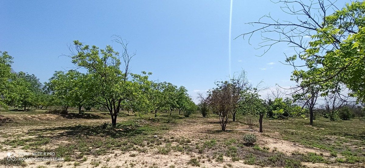 Lote em Icamole, García, foto 9 de 12
