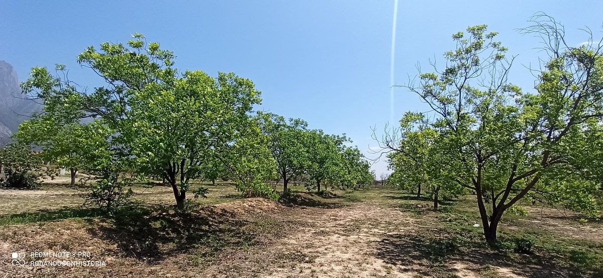 Lote em Icamole, García, foto 11 de 12