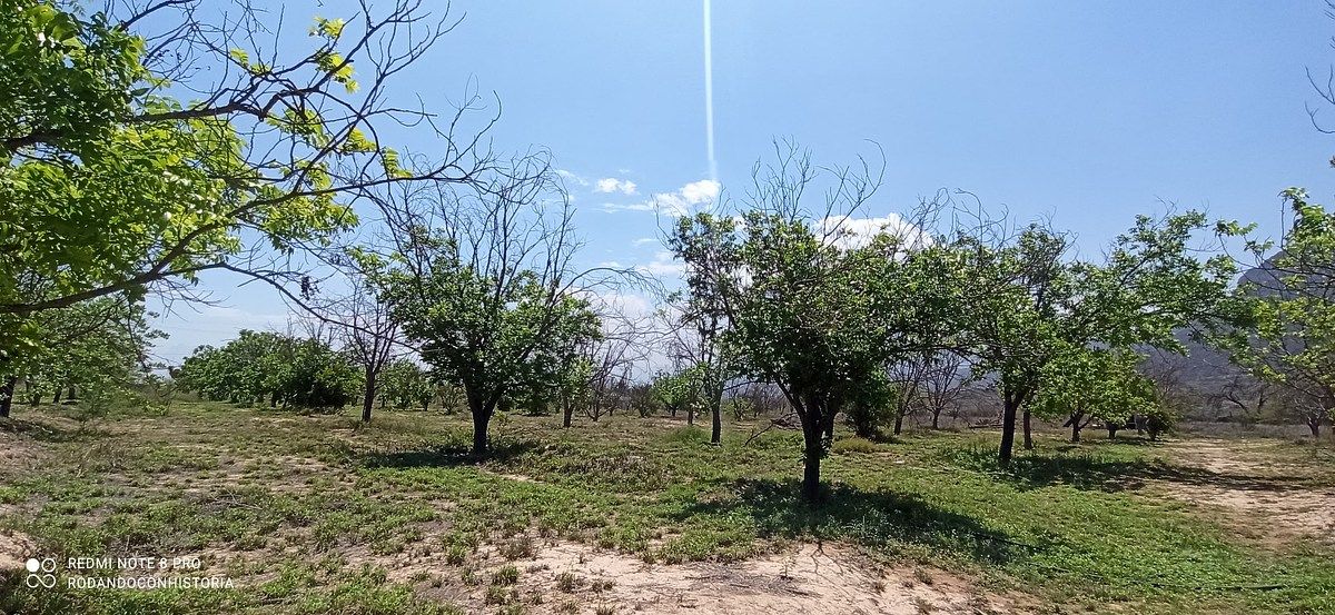Lote em Icamole, García, foto 10 de 12