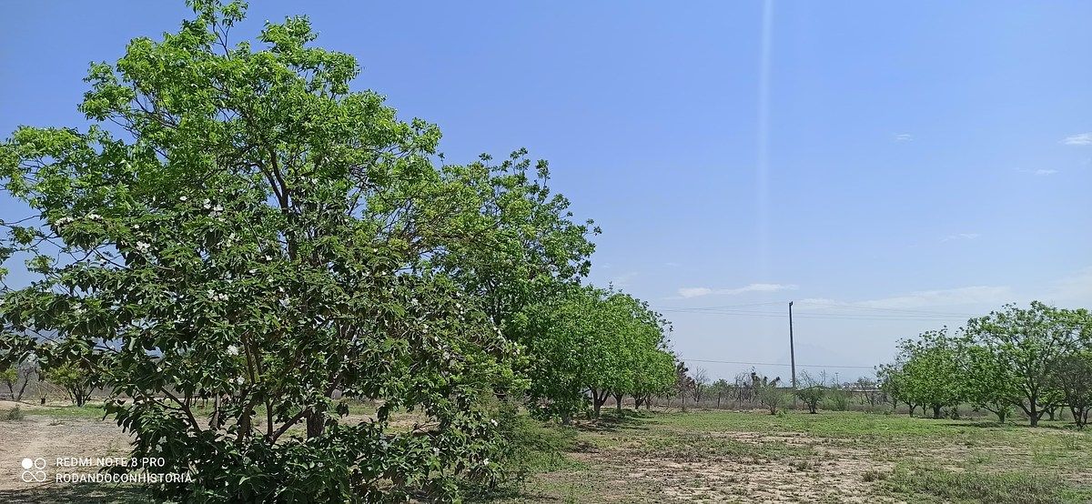 Lote em Icamole, García, foto 12 de 12