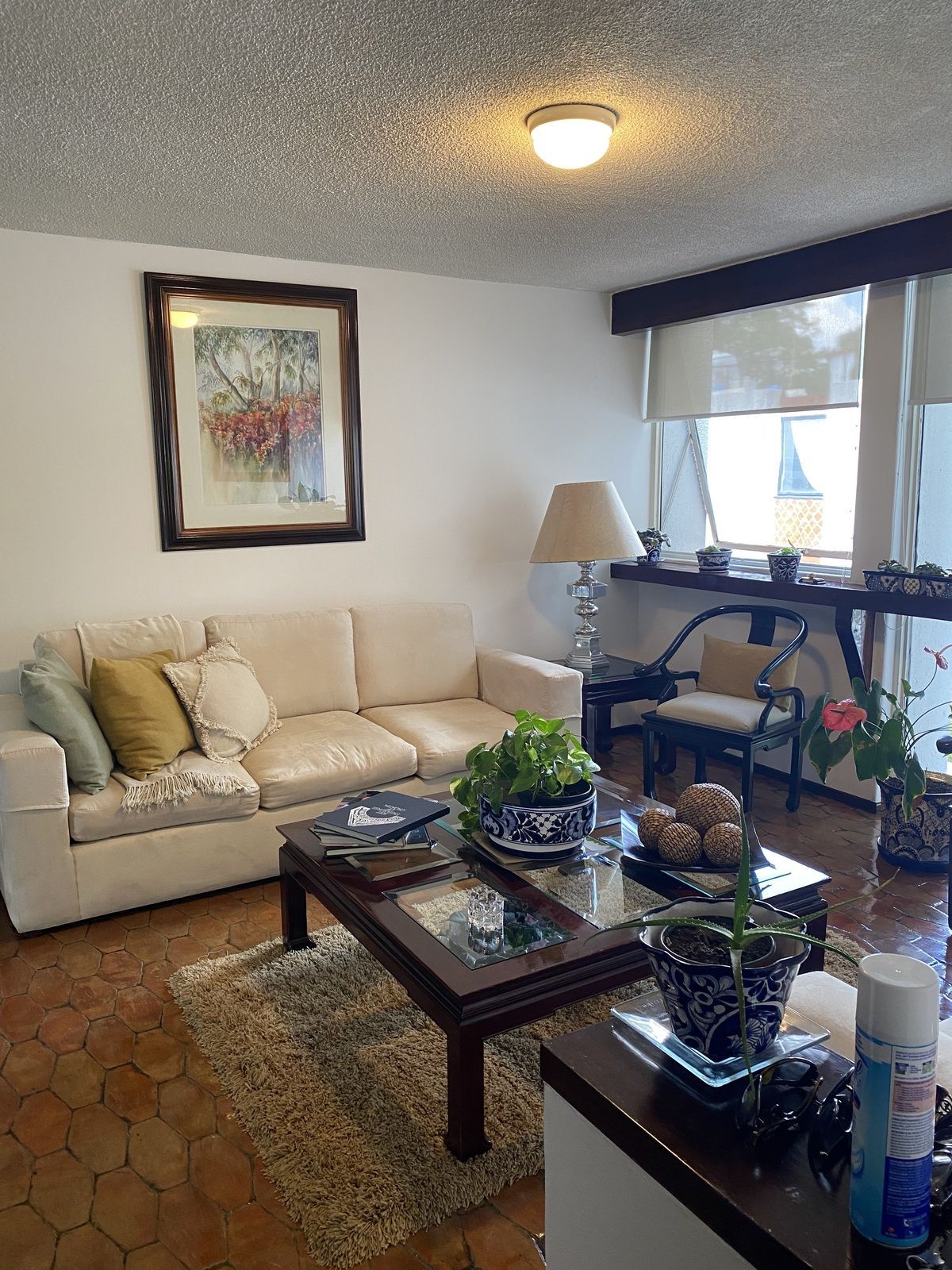 Apartamento em Cuadrante de San Francisco, Coyoacán, foto 3 de 27