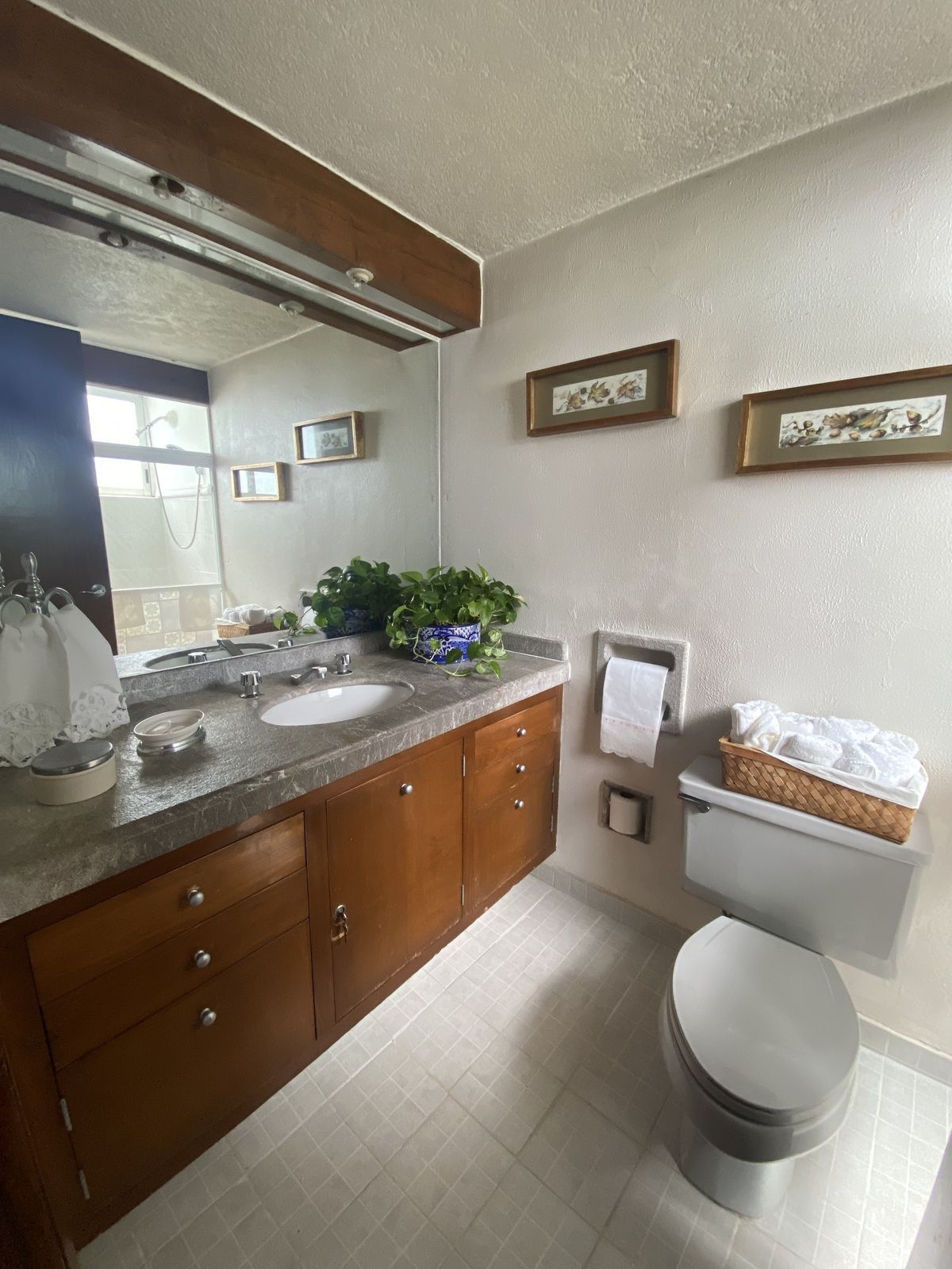 Apartamento em Cuadrante de San Francisco, Coyoacán, foto 15 de 27