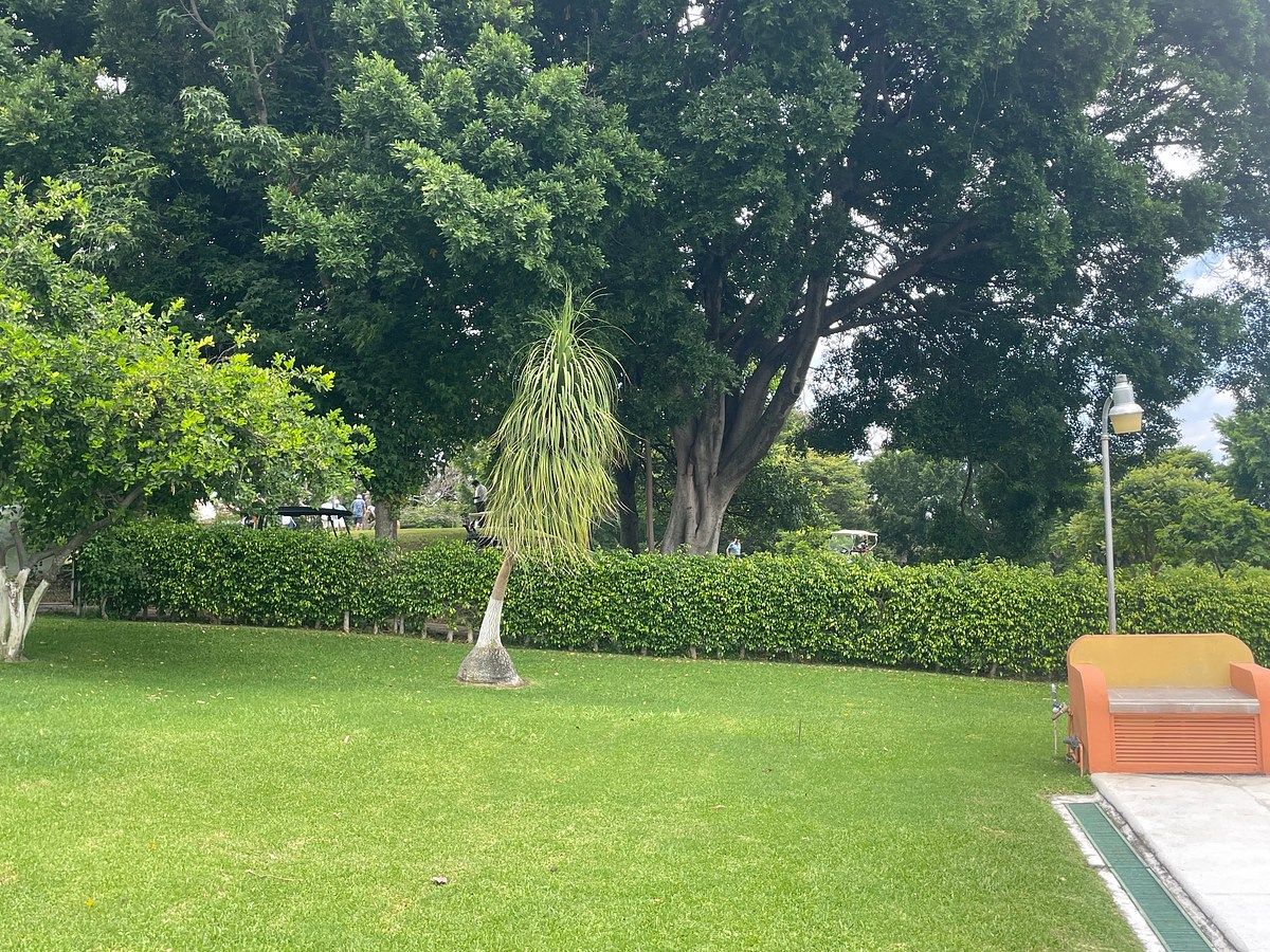 Terreno en Lomas de Cocoyoc, Atlatlahucan, foto 7 de 19