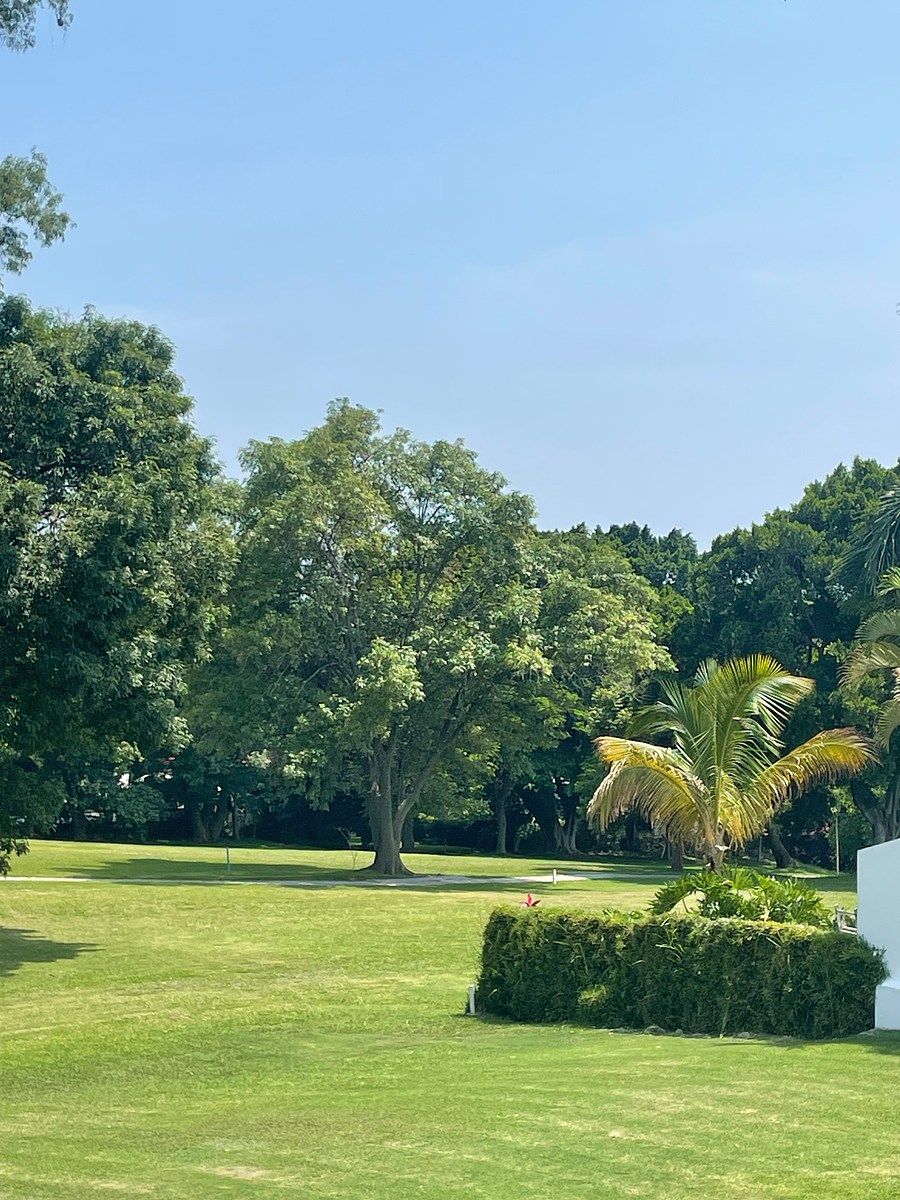Terreno en Lomas de Cocoyoc, Atlatlahucan, foto 16 de 19